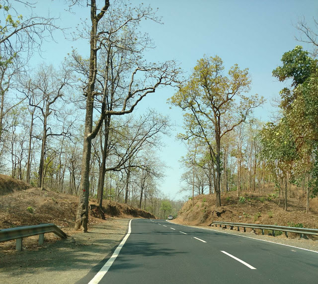 Let the Children Take The Track They Wish To!