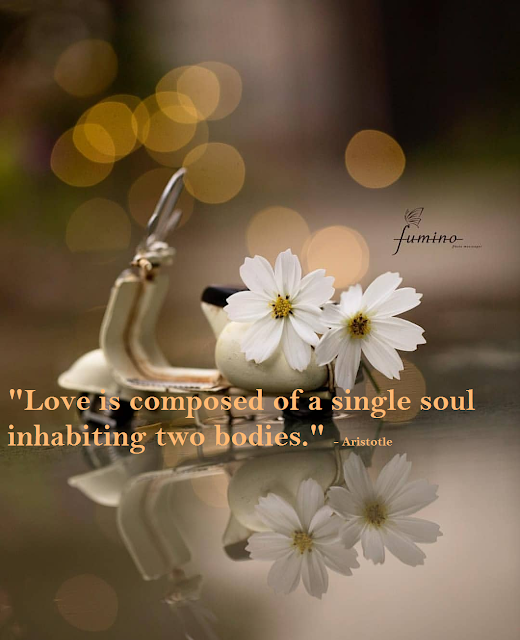 Love is composed of a single soul in two bodies, being one they are two, being two they are one!