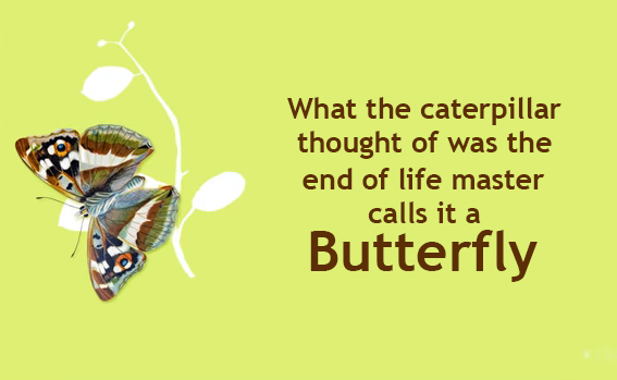 Beauty to Ashes, Never give up, no matter what!