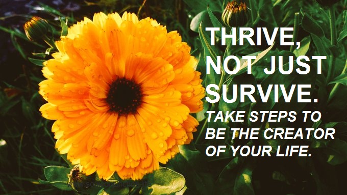 THRIVE – NOT JUST SURVIVE, TAKE STEPS TO BE THE CREATOR OF YOUR LIFE._soulconjuction.com