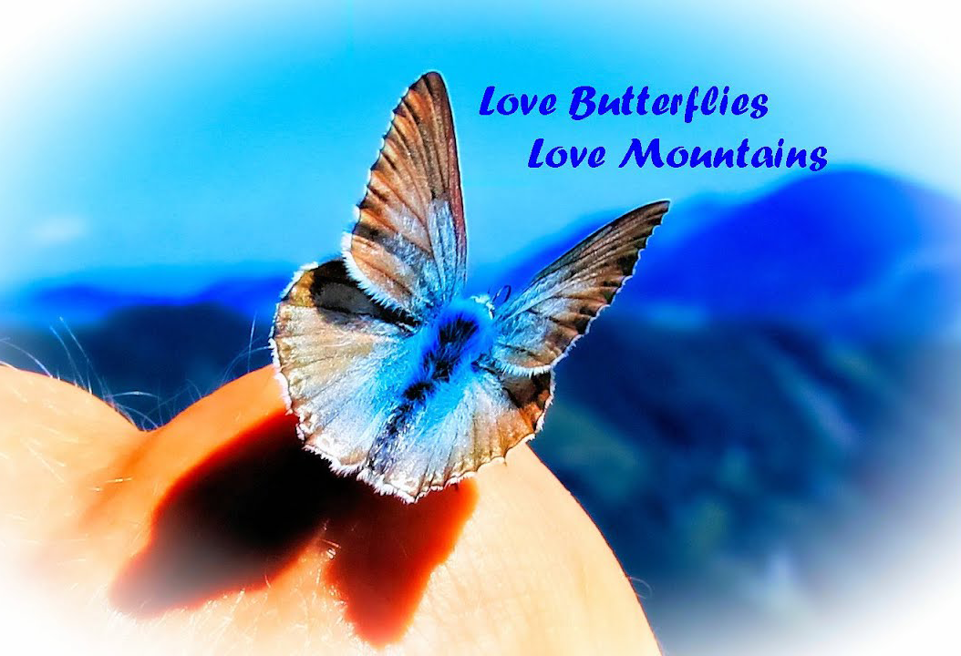 Butterfly With The Heart Of Mountain_soulconjuction.com